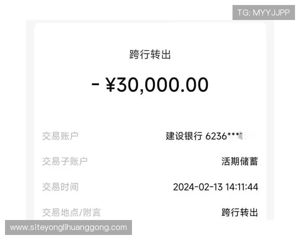 永利博官网支付方式多样化支持多平台快速便捷的资金转入转出 永利博官网支付方式多样化支持多平台快速便捷的资金转入转出