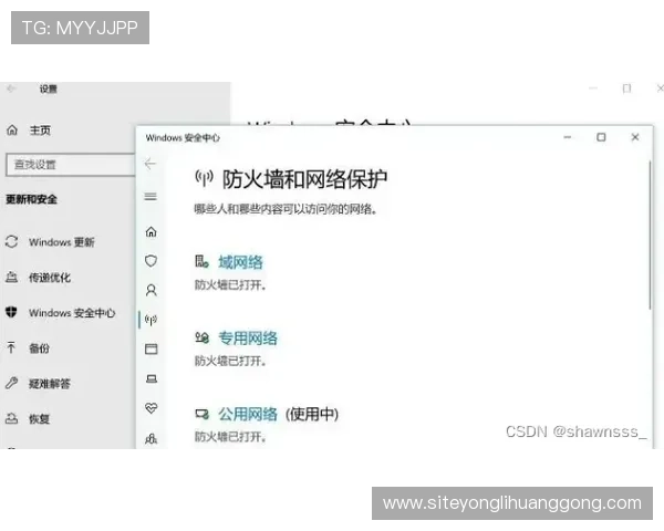 永利官网电脑版下载免费教程，确保每位玩家都能顺利安装使用