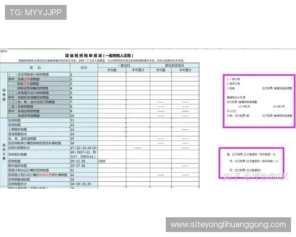 永利现金开户的条件详解及申请流程介绍