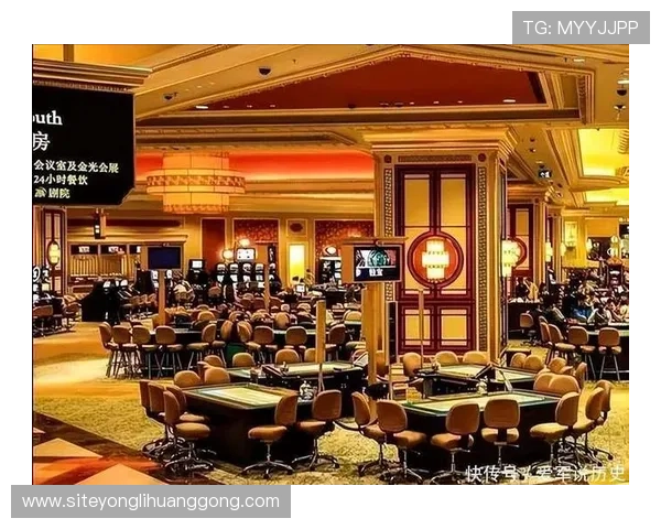 澳门最出名的赌场排名全面解析,了解每个赌场的特色与优势所在 澳门最出名的赌场排名全面解析,了解每个赌场的特色与优势所在