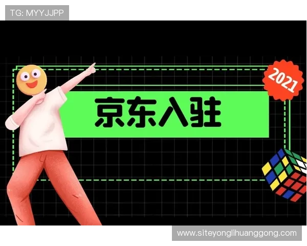 上蒲京官网官方平台安全登录流程详解与账号保护措施