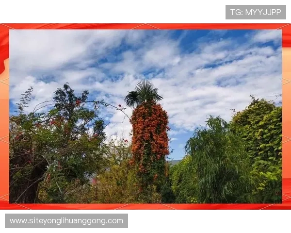 会理娱乐场所全面介绍：最新娱乐项目与休闲体验推荐