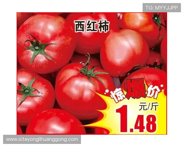 凯旋门app官网最新活动与优惠信息，帮助玩家掌握第一手福利资源与参与方式