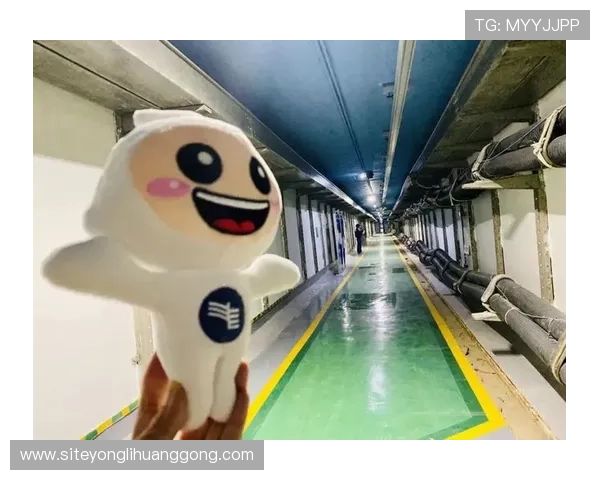 新澳门在线登录平台安全稳定，提供多样化游戏体验与便捷的账号管理