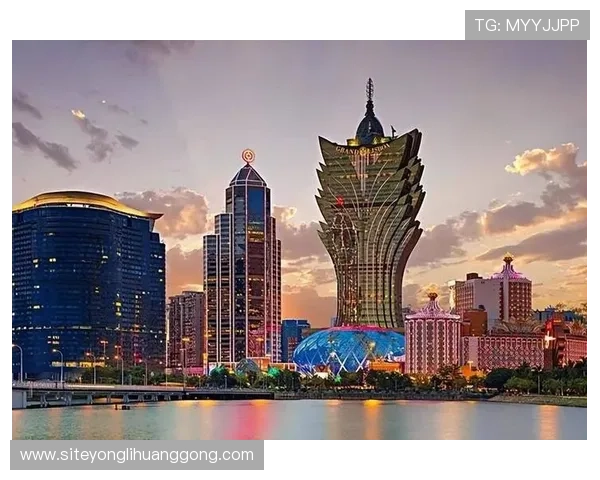 澳门最大的娱乐场所有哪些特色，详细解析其独特的娱乐环境与设施优势