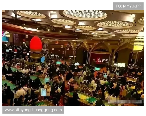 澳门有多家赌场，哪些是最受欢迎的娱乐和博彩场所推荐