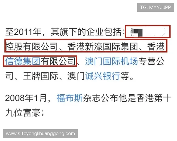 新濠国际发展未来五年发展规划及其对行业的深远影响分析